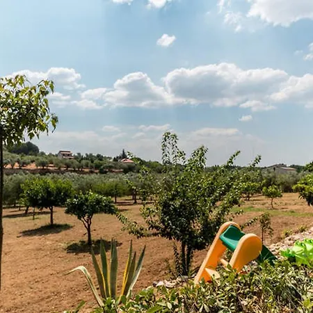 Vicino Piazza Armerina E Caltagirone Niscemi